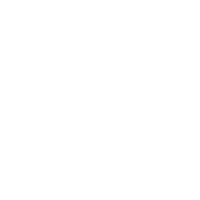 Site inspection Icon